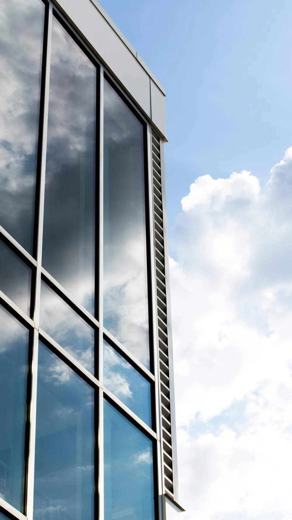 Vliesgevel met aluminium profielen en grote glasvlakken